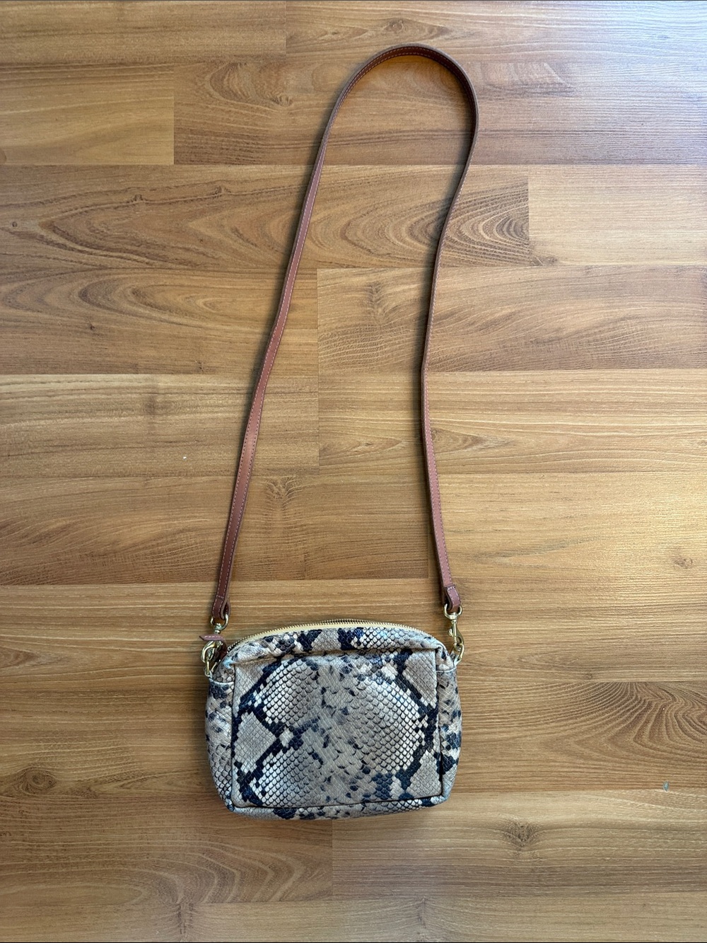 Clare V Tan Snake-Print Crossbody with Green & Orange Stripe - Picture 4 of 4